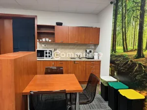 Pronájem kanceláře, Brno, U Leskavy, 92 m2