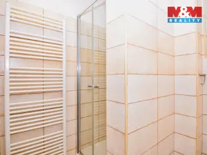 Pronájem bytu 1+1, Děčín - Děčín IV-Podmokly, Palackého, 36 m2