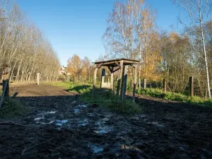 Pronájem - jiné, Markvartovice, 111 m2