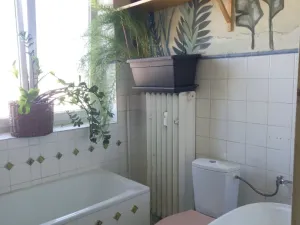 Prodej bytu 1+1, Ostrava - Moravská Ostrava, Nádražní, 52 m2