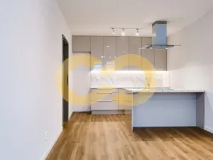 Pronájem bytu 2+kk, Písek, Alšovo nám., 66 m2