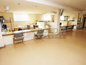 Pronájem komerční nemovitosti, Kojetice, 74 m2