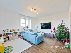 Prodej bytu 2+1, Tábor, Nad Obchvatem, 63 m2