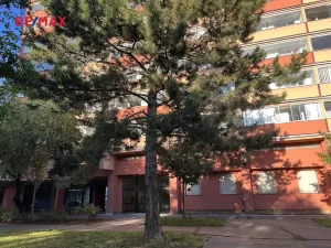 Prodej bytu 1+1, Praha - Střížkov, Bínova, 40 m2