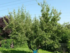 Prodej zahrady, Teplice, Na Dolinách, 400 m2