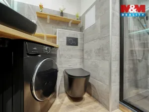 Prodej bytu 1+kk, Horní Bříza, U Vrbky, 25 m2