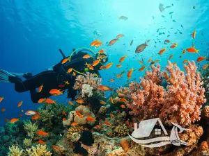 Prodej bytu 2+kk, Pattaya, Thajsko, 42 m2