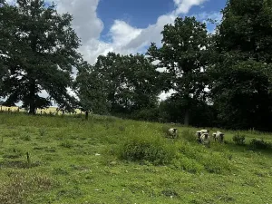 Prodej pozemku pro bydlení, Čížkov, 3589 m2