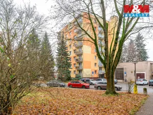 Prodej bytu 3+1, Rychnov nad Kněžnou, Na Trávníku, 69 m2