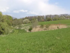 Dražba louky, Chotěbuz, 6967 m2