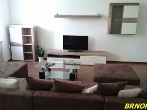 Pronájem pokoje, Brno, Malinovského náměstí, 15 m2