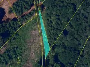 Dražba lesa, Luže, 227 m2