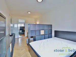 Pronájem bytu 1+1, Praha - Žižkov, Malešická, 43 m2