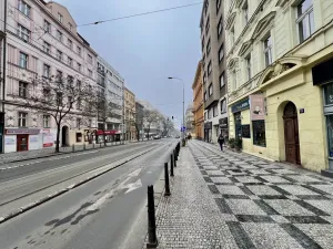 Pronájem bytu 2+1, Praha - Vinohrady, Francouzská, 63 m2