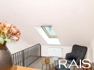 Prodej bytu 2+kk, Brno, Křenová, 54 m2