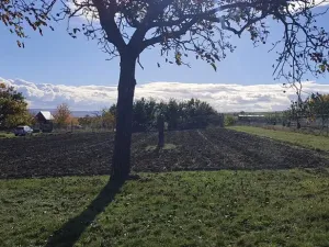 Prodej sadu/vinice, Blučina, 2677 m2