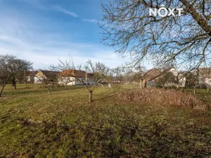 Prodej zahrady, Nové Mitrovice, 1882 m2