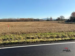 Prodej pozemku pro bydlení, Čtveřín, 880 m2