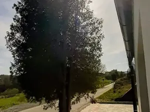 Prodej bytu 1+kk, Vrbno pod Pradědem, Žižkova, 55 m2