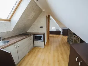 Pronájem bytu 1+kk, Liberec, Křížkovského, 40 m2