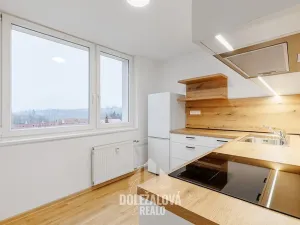 Prodej bytu 1+1, Malý Beranov, 46 m2