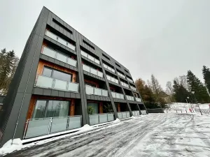 Prodej bytu 1+kk, Janov nad Nisou, 31 m2