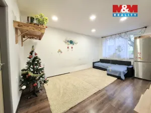 Prodej bytu 2+1, Habartov, Raisova, 55 m2