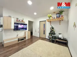 Prodej bytu 2+1, Habartov, Raisova, 55 m2