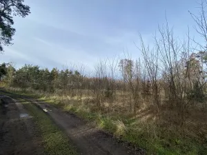 Prodej lesa, Kostelní Lhota, 9438 m2