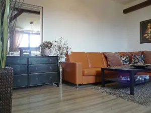 Pronájem bytu 1+1, Brno, Zvěřinova, 53 m2