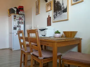 Pronájem bytu 1+1, Brno, Zvěřinova, 53 m2