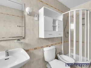 Prodej rodinného domu, Pardubice, 270 m2