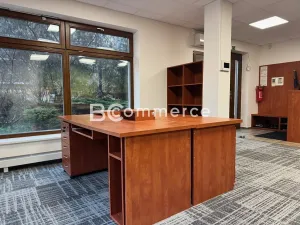 Pronájem obchodního prostoru, Brno, U Leskavy, 92 m2