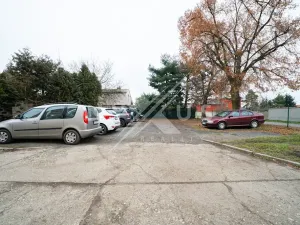 Pronájem bytu 3+1, Břežany II, 74 m2