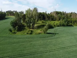 Dražba pole, Kundratice, 18586 m2