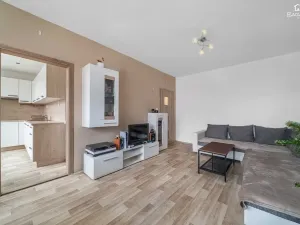 Prodej bytu 2+1, Plzeň, Tichá, 60 m2