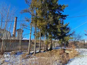 Prodej výrobních prostor, Ryžoviště, Tovární, 500 m2