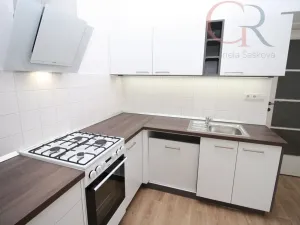 Pronájem bytu 5+1, Plzeň - Jižní Předměstí, U Trati, 130 m2