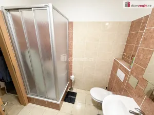 Pronájem rodinného domu, Praha - Březiněves, Za sadem, 180 m2