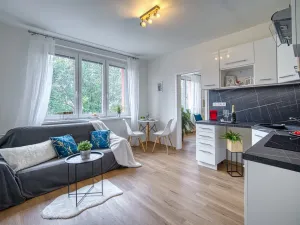 Pronájem bytu 1+1, Chomutov, Arbesova, 36 m2