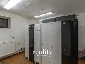 Pronájem výrobních prostor, Šebrov-Kateřina, 243 m2