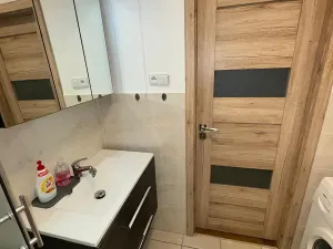 Pronájem bytu 1+kk, Brno, Dřevařská, 30 m2