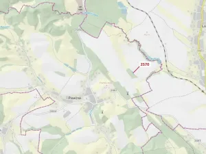 Dražba lesa, Písečná, 447 m2