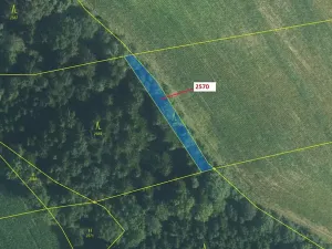 Dražba lesa, Písečná, 447 m2