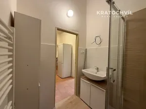 Pronájem bytu 1+kk, Praha - Nusle, Na Veselí, 42 m2