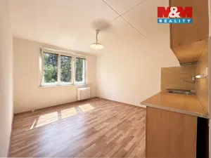 Pronájem bytu 1+kk, Karlovy Vary - Drahovice, Východní, 20 m2