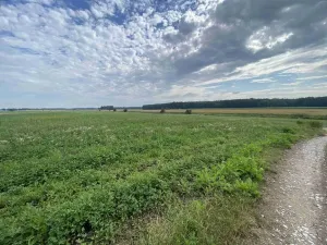 Prodej pole, Lomnice nad Lužnicí, 16506 m2