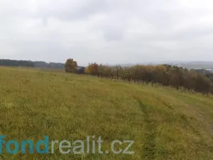 Prodej pole, Vlachovice, 6246 m2