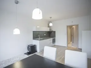 Pronájem bytu 1+kk, Praha - Žižkov, Olšanská, 35 m2