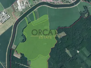 Prodej lesa, Kostelany nad Moravou, 58008 m2